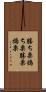 勝ち栗 Scroll