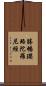 勝幡瓔珞陀羅尼經 Scroll