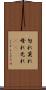 勿れ Scroll