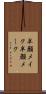 半顔メイク Scroll