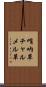 哨吶草 Scroll