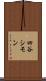 四谷シモン Scroll