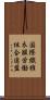 国際繊維衣服労働組合連盟 Scroll