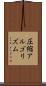圧縮アルゴリズム Scroll