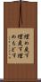 埋め戻す Scroll