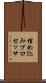 埋め込みプロセッサ Scroll