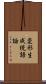 変形生成統語論 Scroll