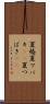 夏椿 Scroll