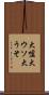 大嘘 Scroll