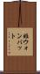 姫ウォンバット Scroll