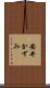 安井かずみ Scroll