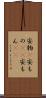 安物(P) Scroll
