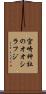 宮崎神社のオオシラフジ Scroll
