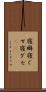 寝癖 Scroll