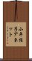 小平桂子アネット Scroll