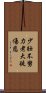 少壯不努力，老大徒傷悲 Scroll