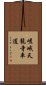 嵯峨天龍寺車道 Scroll