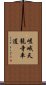 嵯峨天龍寺車道 Scroll