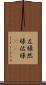 左様 Scroll