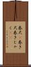 巻尺(P) Scroll