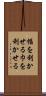 幅を利かせる Scroll