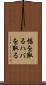 幅を取る Scroll