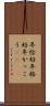 年恰好 Scroll