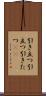 引き立つ Scroll