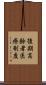 後期高齢者医療制度 Scroll