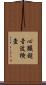 心臓超音波検査 Scroll