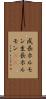 成長ホルモン Scroll