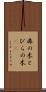 扉の木 Scroll