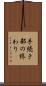 手続き部の終わり Scroll