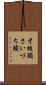 才槌頭 Scroll