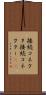 接続コネクタ Scroll