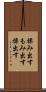 揉み出す Scroll