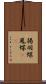 揚羽蝶 Scroll
