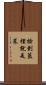 撿到籃裡就是菜 Scroll