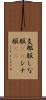支那服 Scroll