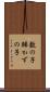 数の子 Scroll