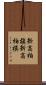 新高柏槇 Scroll