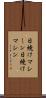 日焼けマシーン Scroll