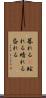 暮れる(P) Scroll