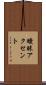曖昧アクセント Scroll