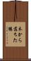 木から落ちた猿 Scroll