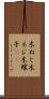 木ねじ Scroll