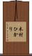 木村ひかり Scroll