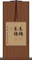 木綿(P) Scroll
