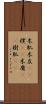 木肌 Scroll