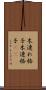 木連れ格子 Scroll